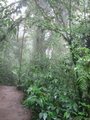 Img_3139.jpg
